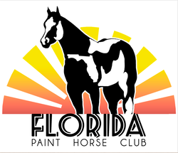 FLORIDA PAINT HORSE CLUB